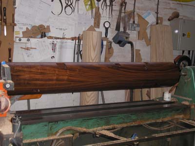 Black walnut dummy body